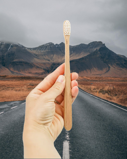 2 in 1 Beech Wood Toothbrush